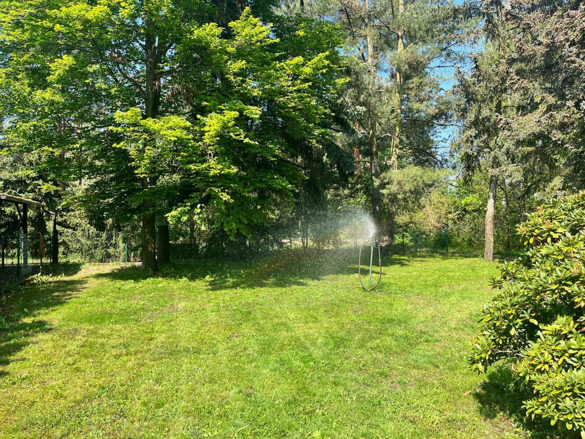 Ferienhaus Im Wald, Am Briesener See Neu Zauche Exterior foto