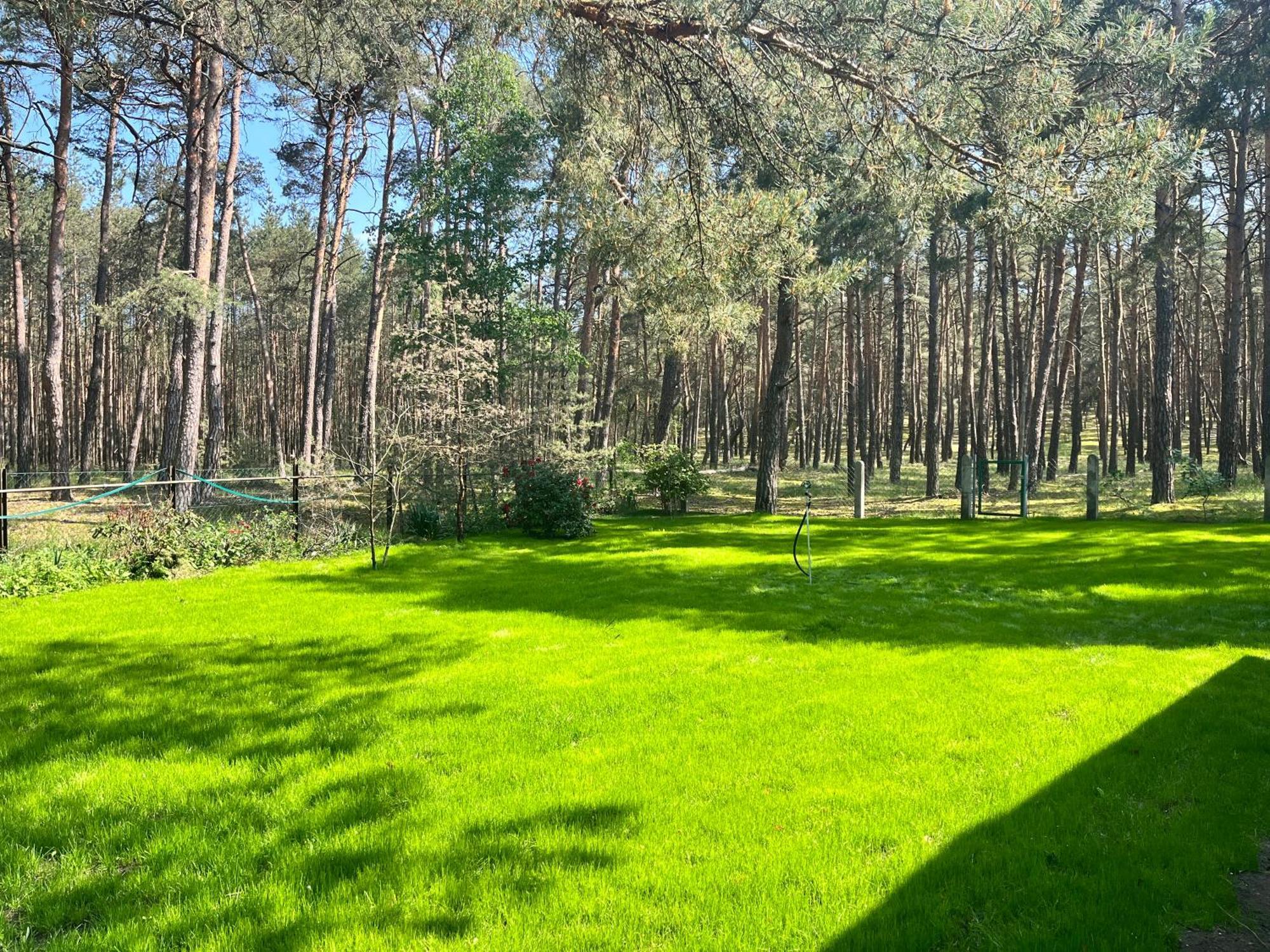 Ferienhaus Im Wald, Am Briesener See Neu Zauche Exterior foto