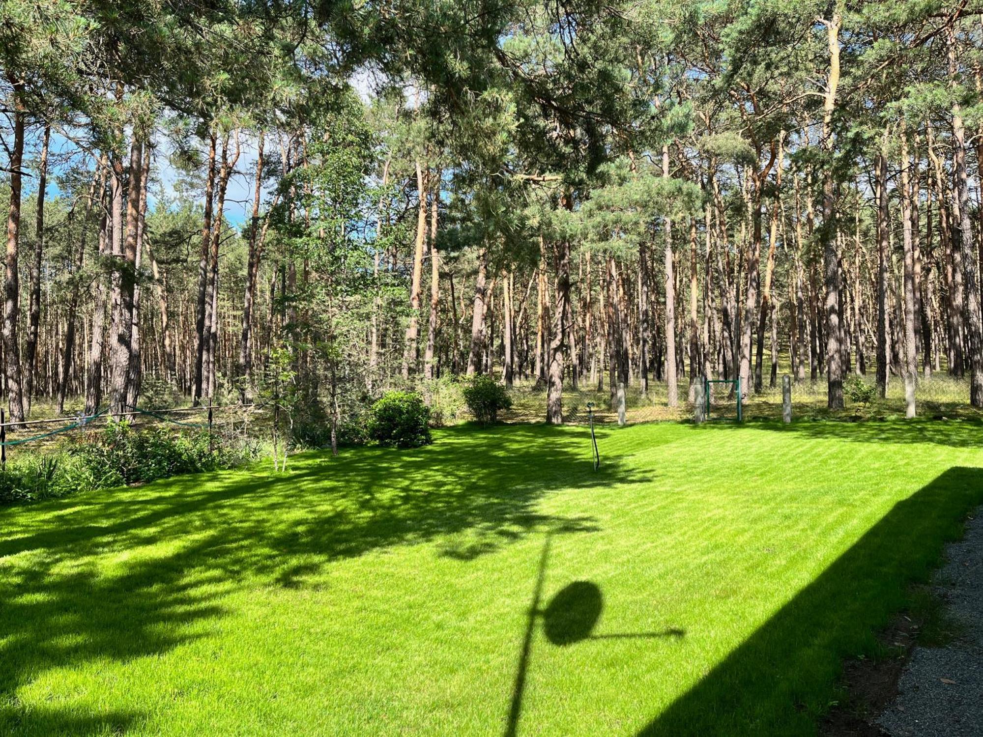 Ferienhaus Im Wald, Am Briesener See Neu Zauche Exterior foto